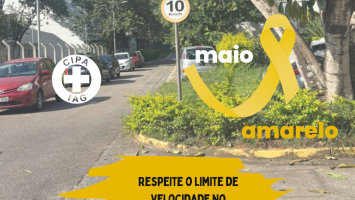 Maio Amarelo